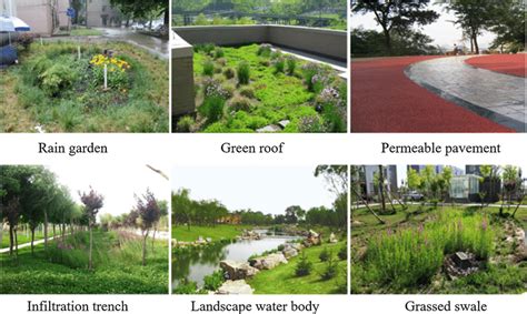 Examples of green infrastructure measures for stormwater management ...