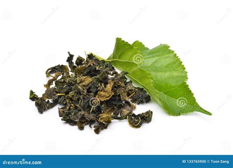 Dried Mulberry Tea Leaves and Fresh Green Mulberry Leaf Stock Photo ...