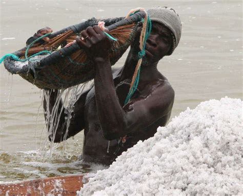 Where our salt comes from - a dive into the spectacular and harsh world ...