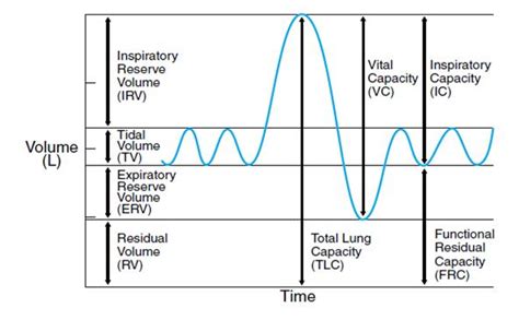 Spirometry Labeled