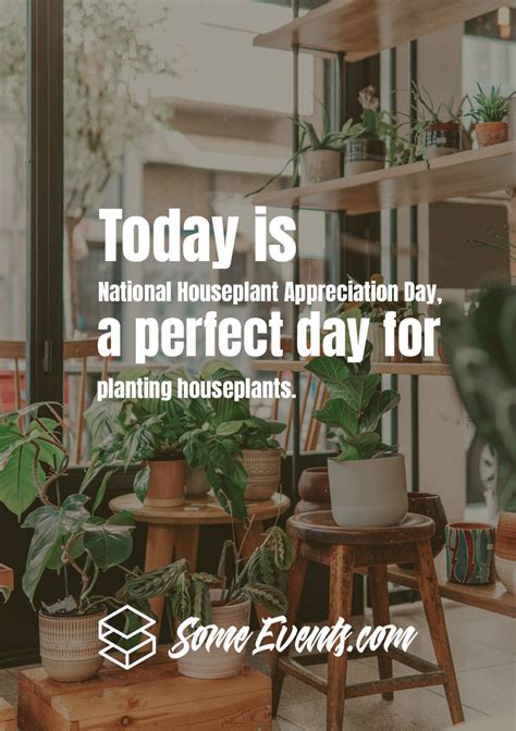 National Houseplant Appreciation Day Messages and Quotes