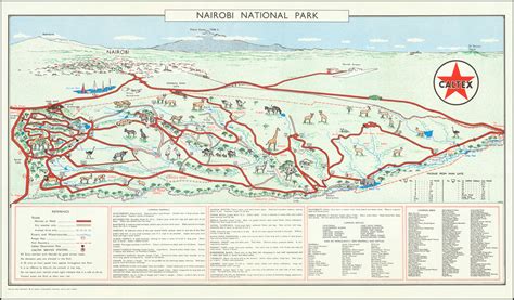 Nairobi National Park - Barry Lawrence Ruderman Antique Maps Inc.