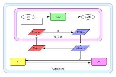 Simulation Example 1