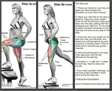 Step-up Exercise