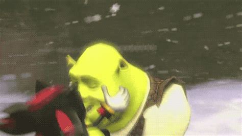 Shrek GIFs - Get the best GIF on GIPHY