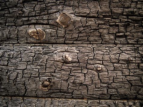 Burnt wood texture | Copyright-free photo (by M. Vorel) | LibreShot