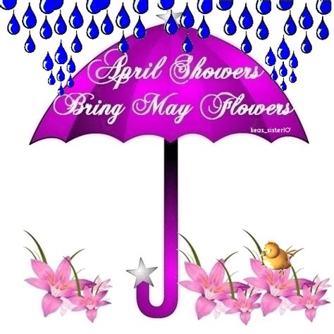 April Showers Bring May Flowers | April showers, Hello april, May flowers