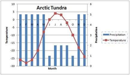 Arctic Tundra Climate Graph - Depp My Fav