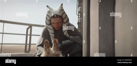 (L-R): Ahsoka Tano (Rosario Dawson) and a Loth-cat in Lucasfilm's ...