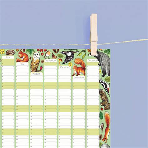 2024 Woodland Animals Wall Calendar And Year Planner By Alexia Claire