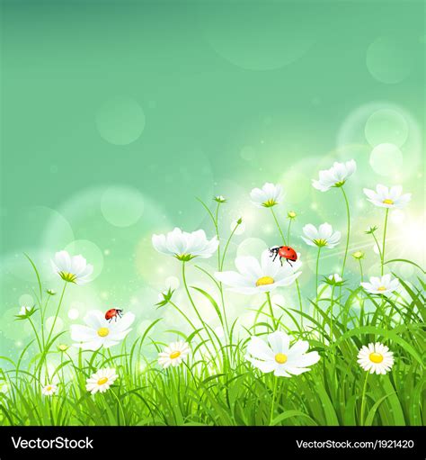 Natural background with flowers Royalty Free Vector Image