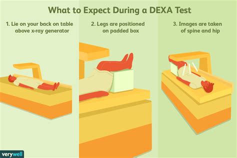 DEXA Scan: Uses, Procedure, Results