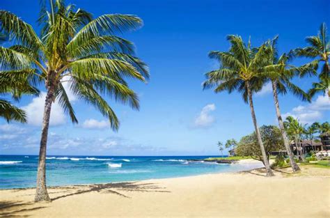 The 25+ Best Beaches in Hawaii // World Beach Guide