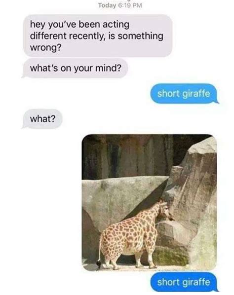 short giraffe | Really funny memes, Funny text conversations, Funny ...