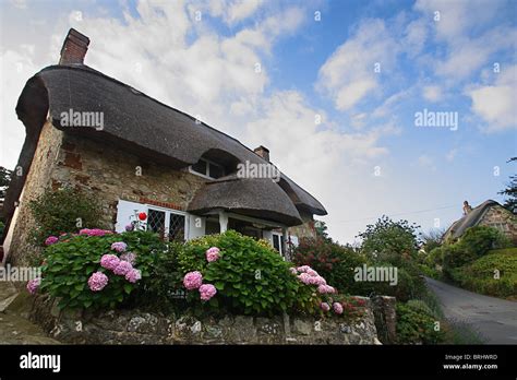 Godshill cottages, Isle of Wight Stock Photo - Alamy