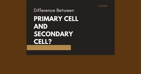 Difference Between Primary Cell And Secondary Cell - MDM Tool Supply