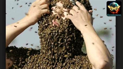 69-year-old woman stung to death in bees attack in Siaya