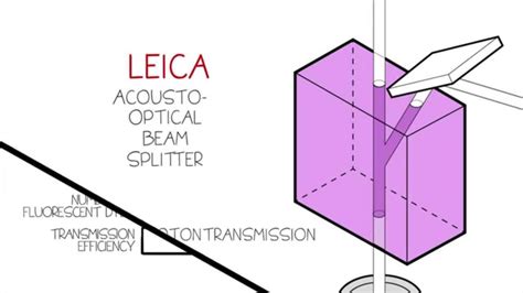 Acousto-Optical Beam Splitter - Leica TCS SP8 AOBS - YouTube