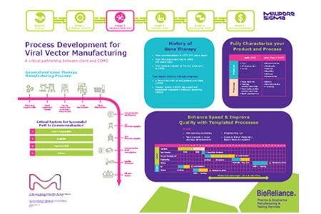 Process Development For Viral Vector Manufacturing