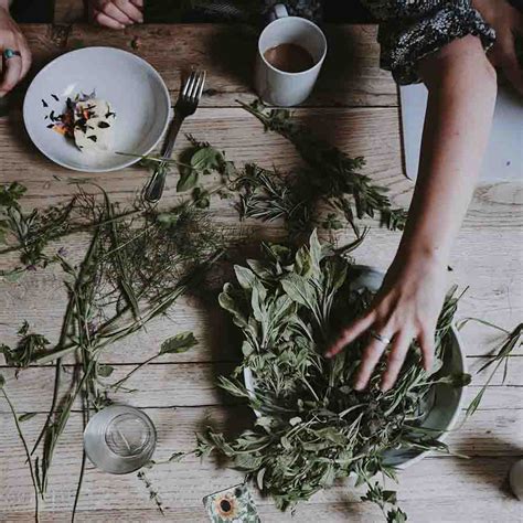 How to Dry Herbs in a Dehydrator – The BHKitchen