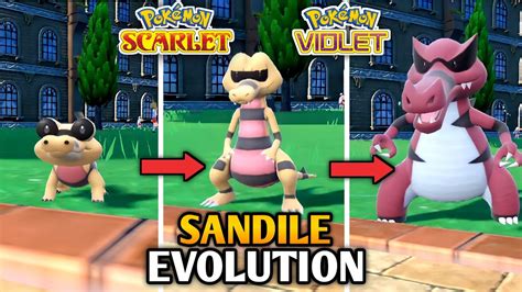 How To Evolve Sandile Into Krokorok And Krookodile In Pokemon Scarlet ...