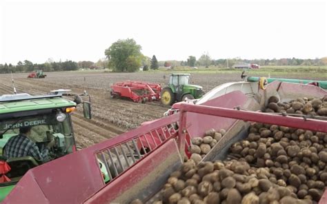 Educational Video Series - Sunrise Potato Farm - Flypress