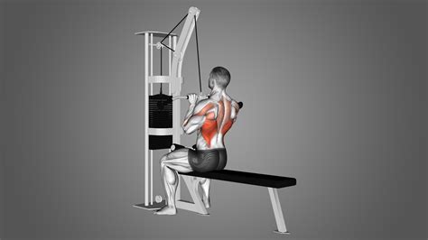 Close Grip Lat Pulldown: Benefits, Muscles Worked, and More - Inspire US