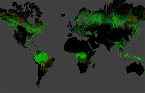 Vanishing Forests: New Map Details Global Deforestation | Live Science