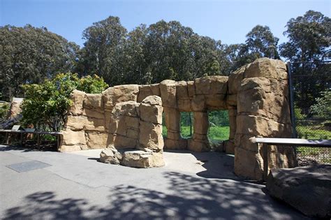 San Francisco Zoo - The Herbst Foundation