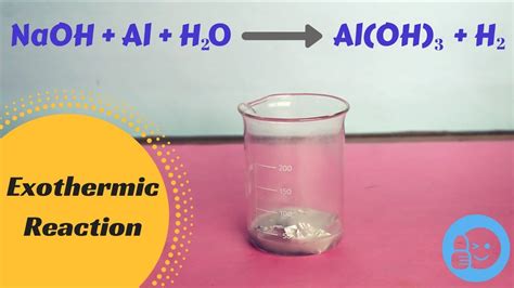 What happens when Sodium Hydroxide and Aluminium Reacts ...