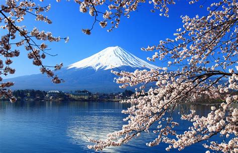 From Tokyo to Mount Fuji: 4 Best Ways to Get There | PlanetWare