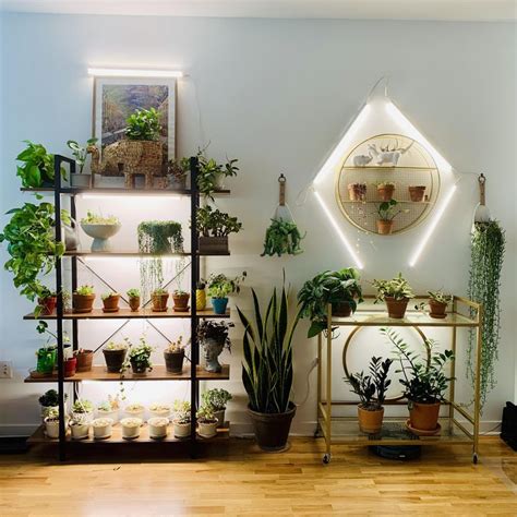 My plant wall is growing | Grow lights for plants, Indoor plant wall ...