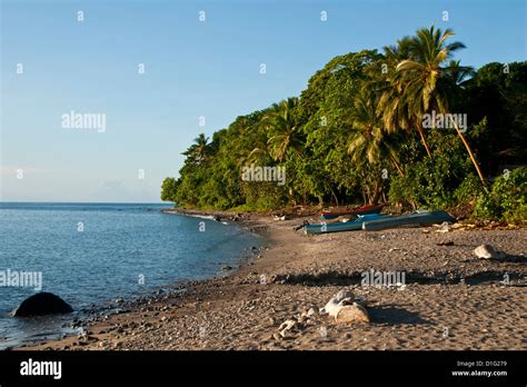 Beach on Savo Island, Solomon Islands, Pacific Stock Photo - Alamy