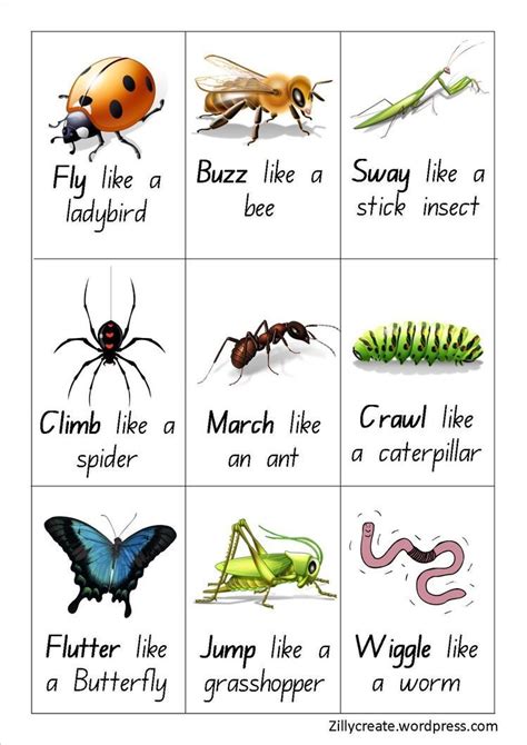 Pin by Karla Vitovitch Fedorak on Peaceful Press | Insects preschool ...