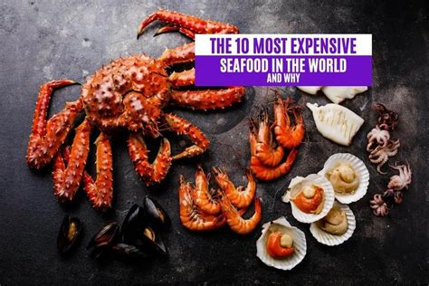 The 10 Most Expensive Seafood in the World and Why