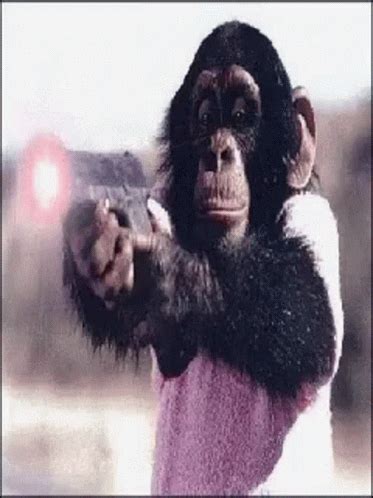 Gangster Monkey GIF - Gangster Monkey Fire - Discover & Share GIFs