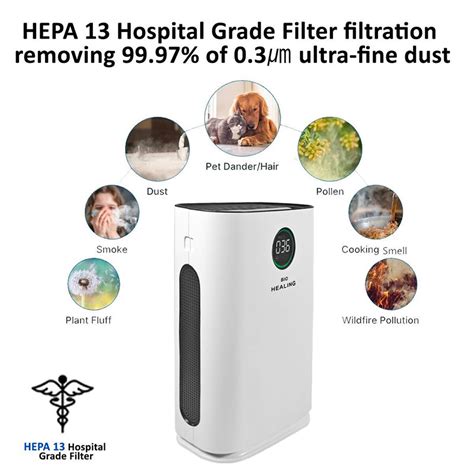 Bio Healing Hospital-Grade HEPA 13 Air Purifier & Humidifier – Bio ...