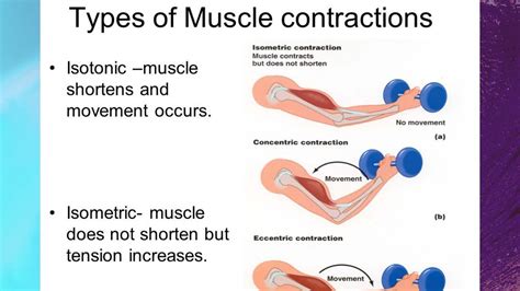 isotonic muscle movement > OFF-69%