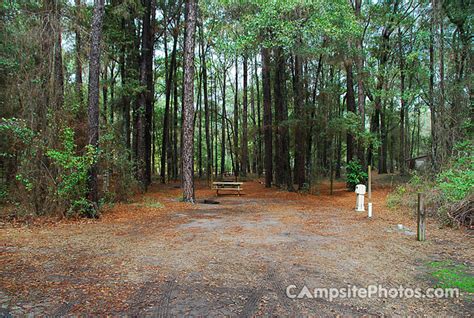 Suwannee River State Park - Campsite Photos, Info & Reservations