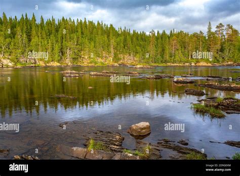 Namsen river, Trondelag Norway Stock Photo - Alamy