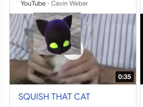 Squish that cat | Fandom