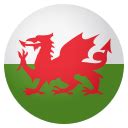 🏴󠁧󠁢󠁷󠁬󠁳󠁿 Flag: Wales Emoji Meaning with Pictures: from A to Z