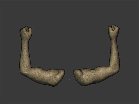 3D model Muscle Hand Icon - TurboSquid 1806626