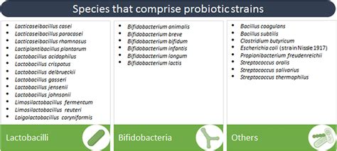 Frontiers | Probiotics, Their Extracellular Vesicles and Infectious ...