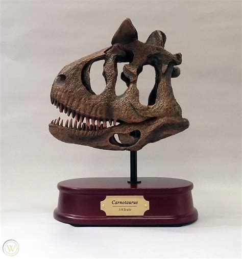 Carnotaurus Dinosaur Skull Replica BUY NOW AND RECEIVE BEFORE CHRISTMAS ...