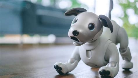 Super Smart Robot Dog from Sony Returning to the US - Technology - DataHand