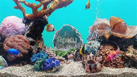 Aquarium SCREENSAVER fullscreen- ROKU TV - YouTube