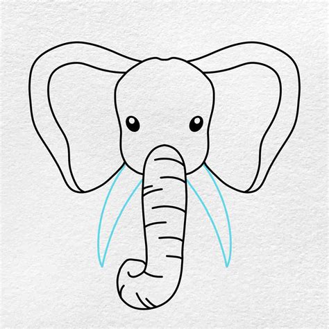 How to Draw an Elephant Face - HelloArtsy