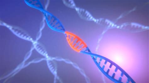 Types of CFTR Mutations | Cystic Fibrosis Foundation