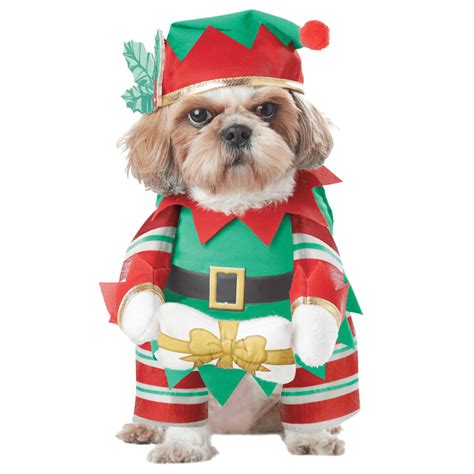 Bud The Elf, Bud The Elf Dog Outfit, Dog Elf Costume, Dog, 41% OFF